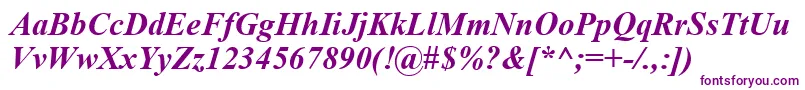 TimesNewRomanCeBoldItalic Font – Purple Fonts on White Background