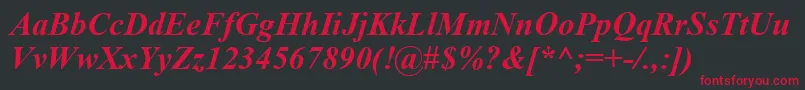 TimesNewRomanCeBoldItalic Font – Red Fonts on Black Background