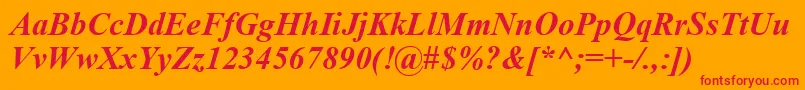 TimesNewRomanCeBoldItalic Font – Red Fonts on Orange Background