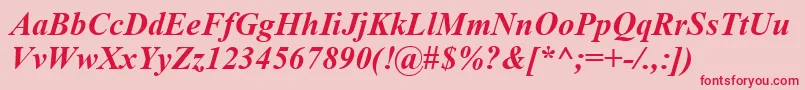 TimesNewRomanCeBoldItalic Font – Red Fonts on Pink Background