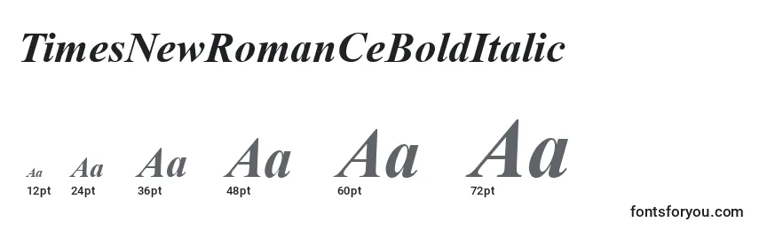 TimesNewRomanCeBoldItalic Font Sizes