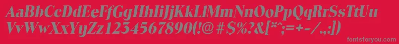 ToledoserialXboldItalic Font – Gray Fonts on Red Background