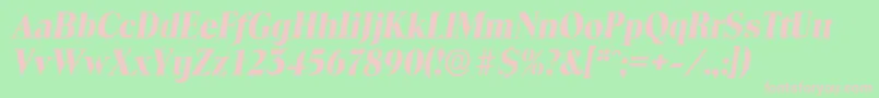 ToledoserialXboldItalic Font – Pink Fonts on Green Background