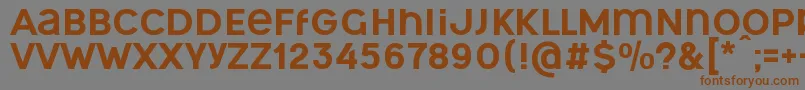 OgonekUnicase Font – Brown Fonts on Gray Background