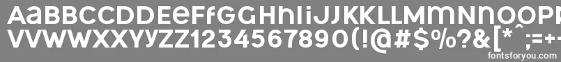 OgonekUnicase Font – White Fonts on Gray Background