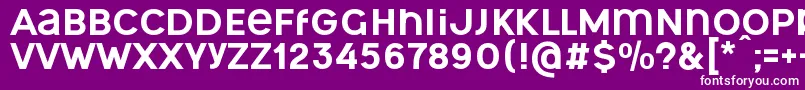 OgonekUnicase Font – White Fonts on Purple Background