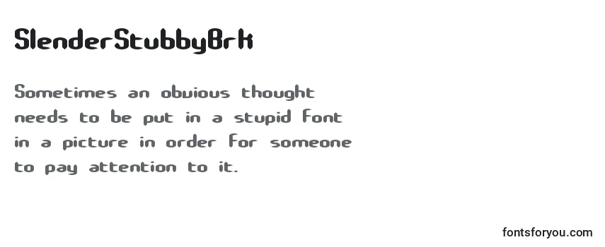 Review of the SlenderStubbyBrk Font