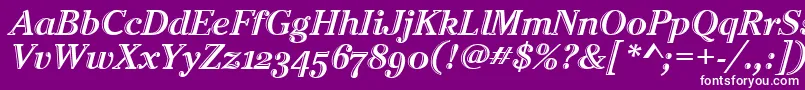CheltenhamHtdOsItcTtItalic Font – White Fonts on Purple Background