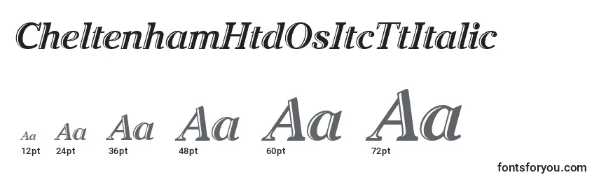 CheltenhamHtdOsItcTtItalic Font Sizes