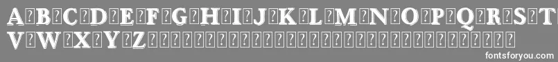 OttanioshadedDemo Font – White Fonts on Gray Background