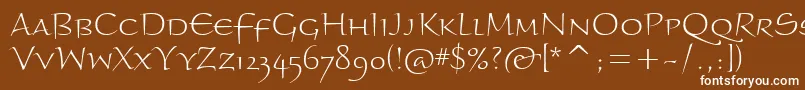 BraganzaltscitcTt Font – White Fonts on Brown Background