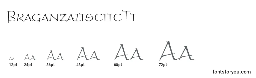 Размеры шрифта BraganzaltscitcTt