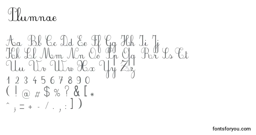 Czcionka Plumnae – alfabet, cyfry, specjalne znaki