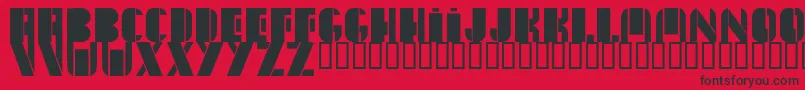 NewYorkSanj Font – Black Fonts on Red Background