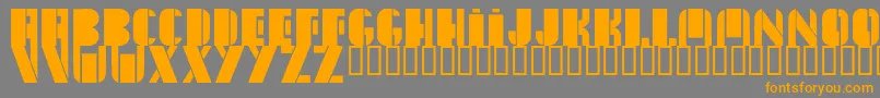 NewYorkSanj Font – Orange Fonts on Gray Background
