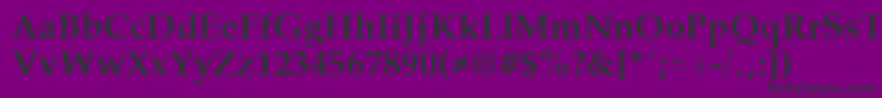 PalisadeBold Font – Black Fonts on Purple Background