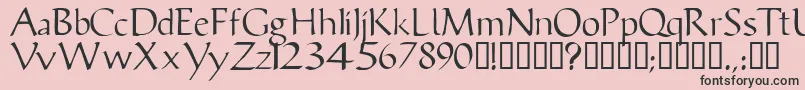 Vicissk Font – Black Fonts on Pink Background