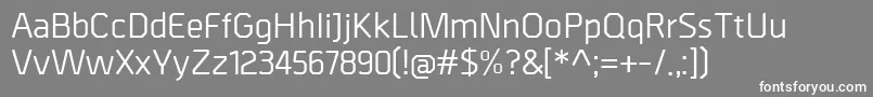 BordaMedium Font – White Fonts on Gray Background