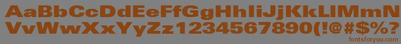 Подробнее о шрифте NovaUltraExpandedSsiExtraBlackExpanded Шрифт NovaUltraExpandedSsiExtraBlackExpanded – коричневые шрифты на сером фоне