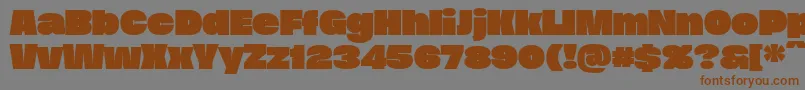DueraExpablacPersonal Font – Brown Fonts on Gray Background