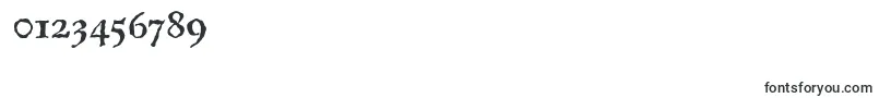 LazurskiantiquetextcBold Font – Fonts for Numbers and Digits