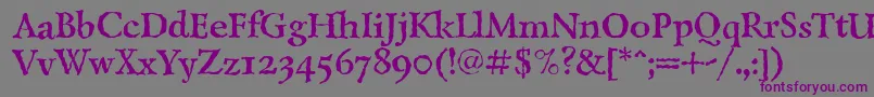 LazurskiantiquetextcBold Font – Purple Fonts on Gray Background