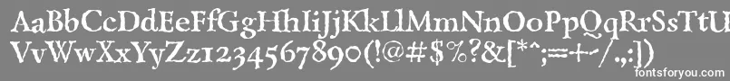 LazurskiantiquetextcBold Font – White Fonts on Gray Background