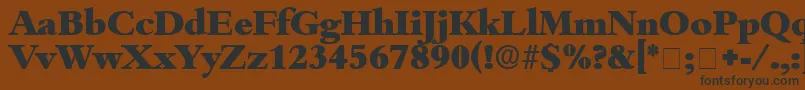 Шрифт ScholeDisplaySsi – чёрные шрифты на коричневом фоне