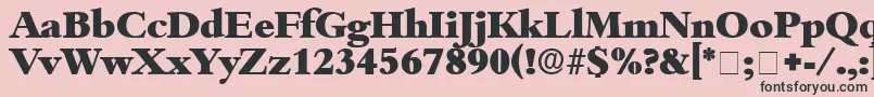 ScholeDisplaySsi Font – Black Fonts on Pink Background