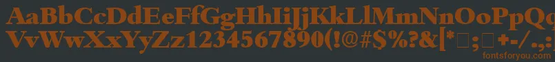 Шрифт ScholeDisplaySsi – коричневые шрифты на чёрном фоне