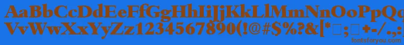 ScholeDisplaySsi Font – Brown Fonts on Blue Background