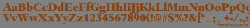 ScholeDisplaySsi Font – Brown Fonts on Gray Background