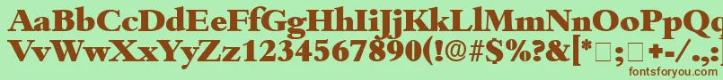 ScholeDisplaySsi Font – Brown Fonts on Green Background