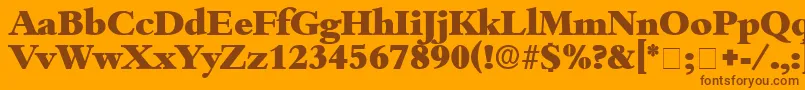 ScholeDisplaySsi Font – Brown Fonts on Orange Background