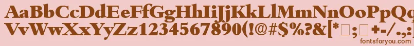 ScholeDisplaySsi Font – Brown Fonts on Pink Background
