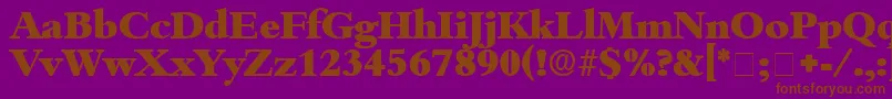 ScholeDisplaySsi Font – Brown Fonts on Purple Background