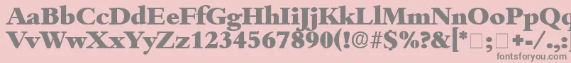 ScholeDisplaySsi Font – Gray Fonts on Pink Background