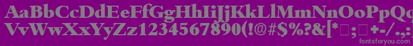 Шрифт ScholeDisplaySsi – серые шрифты на фиолетовом фоне