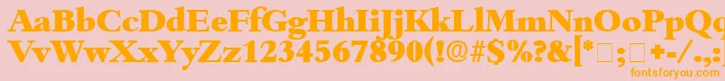 フォントScholeDisplaySsi – オレンジの文字がピンクの背景にあります。