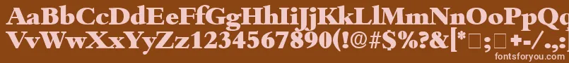 ScholeDisplaySsi Font – Pink Fonts on Brown Background