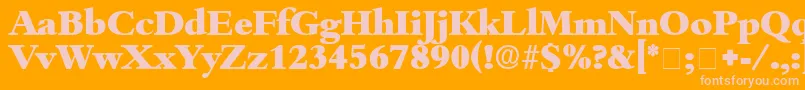 ScholeDisplaySsi Font – Pink Fonts on Orange Background