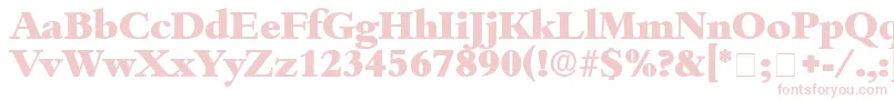 ScholeDisplaySsi Font – Pink Fonts on White Background