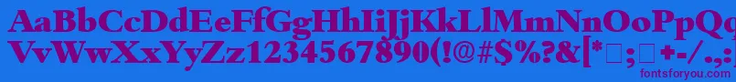 ScholeDisplaySsi Font – Purple Fonts on Blue Background
