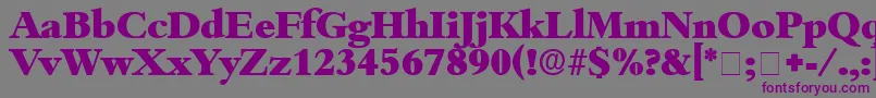 ScholeDisplaySsi Font – Purple Fonts on Gray Background