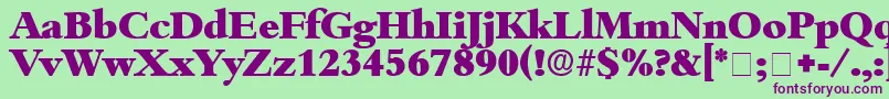 ScholeDisplaySsi Font – Purple Fonts on Green Background