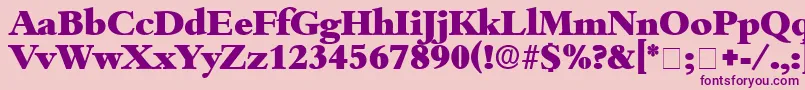 ScholeDisplaySsi Font – Purple Fonts on Pink Background