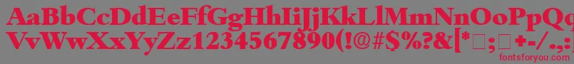 フォントScholeDisplaySsi – 赤い文字の灰色の背景