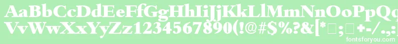 ScholeDisplaySsi Font – White Fonts on Green Background