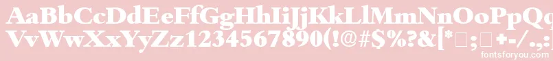 ScholeDisplaySsi Font – White Fonts on Pink Background