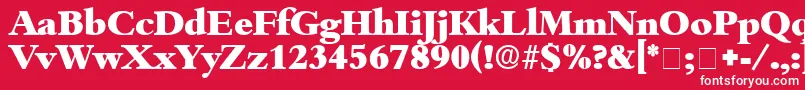 Шрифт ScholeDisplaySsi – белые шрифты на красном фоне